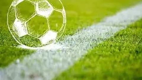 意甲第25轮处罚结果揭晓，劳塔罗无缘停赛名单