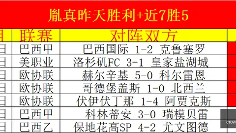 两天爆中24场绝杀王牌高效攻略